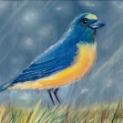 Bird n1. Original pastel painting on sandpaper . Using artists' quality pastels