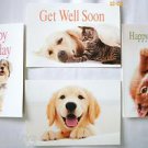 4 Animal Greeting Card w Envelopes 6 1/8 x 4 1/2" IFAW 4 Animal Greeting Card w Envelopes 6 1/8 x 4 1/2" IFAW