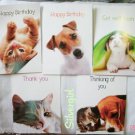 5 Animal Greeting Card w Envelopes 6 1/8 x 4 1/2" IFAW 5 Animal Greeting Card w Envelopes 6 1/8 x 4 1/2" IFAW