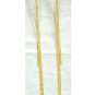 Gold Plated Drape Chain Necklace and Matching Earrings