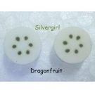Tiny Exotic fruit Slice Polymer Clay Stud Earrings Dragonfruit, Pitaya, Drupe Peach, Cherimoya,