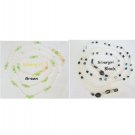 Colorful Hand Beaded Eye Glass Chains