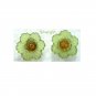 Tiny Acrylic Flower Stud Earrings You Choose Color!