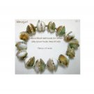 Natural Sliced Shell Beads SP Spacers and Balls Stretch Bracelet