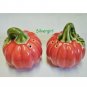 Fun Pumpkin S&P Shakers