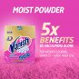Vanish Gold Oxi Action Carpet Cleaning Kit