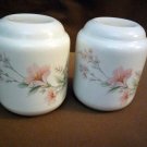 Pair of 2 Noritake Keltcraft DEERFIELD #9159 Salt & Pepper Shakers, Ireland #201