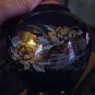 Beautiful Deep Blue Porcelain Peacocks and Flowers Ginger Jar  #323