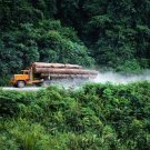  Jungles - An Exploration Of The Most Mysterious Of All Natural Worlds - Products Of The Jungle
