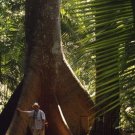 Jungles - An Exploration  Of The Most Mysterious Of All Natural Worlds - Man & The Jungle