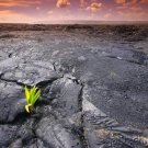 The Prehistoric Past - Life's Beginnings (545-4000 Million Years Ago)