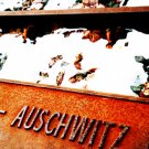 The History Of The Holocaust - Resistance