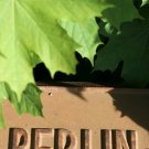 The History Of The Holocaust - The Weimar Republic