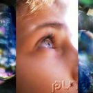 The Nature Of Light & Matter