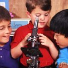 Getting Started In Homeschooling - Homeschooling With A School Or Group