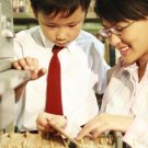 Getting Started In Homeschooling - Steps To A Successful Homeschool