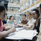 African American Studies - Political Perspectives