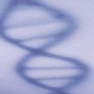 Curriculum Design & Instruction To Teach Science - The New Science Of Life
