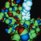 Curriculum Design & Instruction To Teach Science - Molecules Of Life