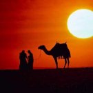 The Arabs - The Umayyad & Abbasid Empires - Education & The Development Of Fine Arts