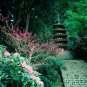 East Asian History - The Zhou - Its Decline & The Age Of Philosophers