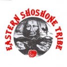 History Of The Shoshone - Native American People Of The Great Basin Area Of The United States