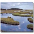 Curriculum Design & Instruction To Teach About Wetlands