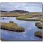 Curriculum Design & Instruction To Teach About Wetlands
