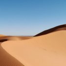Curriculum Design & Instruction To Teach About Deserts