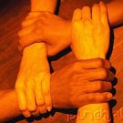 Racial & Ethnic Groups - Basic Perspectives On Racial & Ethnic Groups - Prejudice