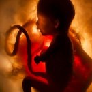 Human Sexuality - Sex & Evolution