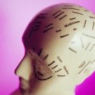 Memory & Cognition - Language Comprehension & Memory