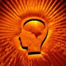  Memory & Cognition - Learning Theories