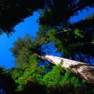 The Philosophy Of Mathematics & The Philosophy Of Nature