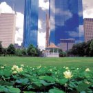Curriculum Design & Instruction To Teach Local Government
