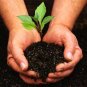 Energy & Natural Resources