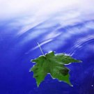 Water Quality Control