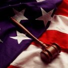 The American Legal System