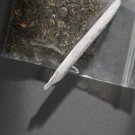 Cannabis & Cognitive Functioning - Research - A Single Case Study Of Cessation Of Cannabis Use