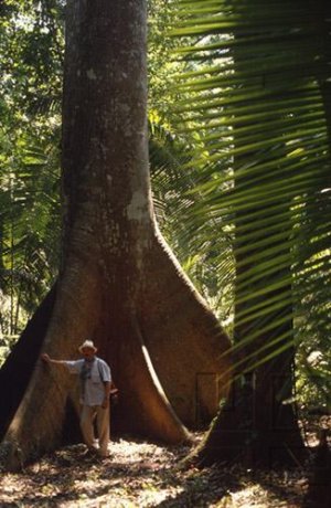 Man & The Jungle