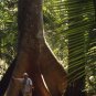 Man & The Jungle
