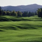  Recreational Facilities: Design Principles