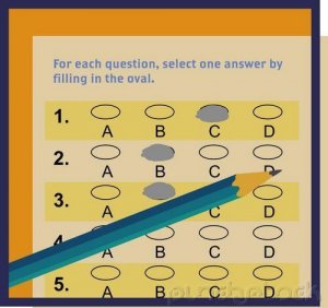  Information Requirements Analysis - Using Questionnaires