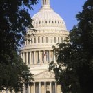 Economics - Managing The nation's Economy - Government Spends - Collects & Owes