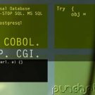 The CODASYL Or Network Database Structuring Model