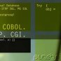The CODASYL Or Network Database Structuring Model