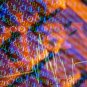 Build Java Script-Enabled Web Sites - Embed Java Script in a Web Page