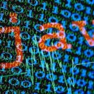 Learn Java Script Basics - Prepare To Program In Java Script