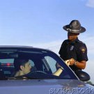 Curriculum Design & Instruction To Teach Criminology