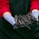 Vanilla Beans Premium Quality Tahitian and Planifolia (GRADE A)
